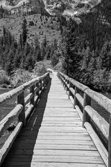 Fototapeta premium Bridge towards the mountains at the Grand Teton