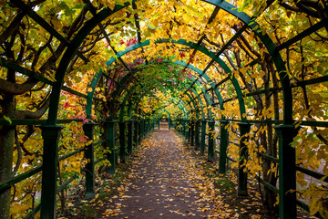 Fototapeta premium empty way under arch decorated with autumn foliage