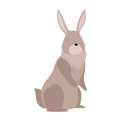 cute rabbit icon, flat design