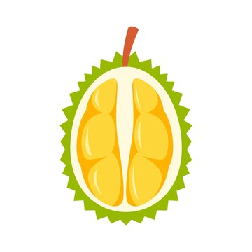 Half fresh durian icon. Flat illustration of half fresh durian vector icon for web design