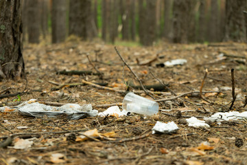 Garbage in forest. People illegally thrown garbage into forest. Concept of man and nature.
