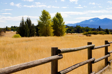 Local Park in Rural Northern California