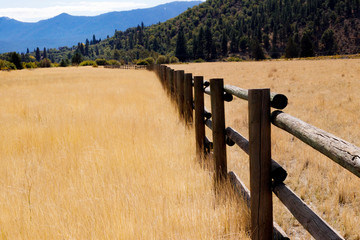 Obraz premium Local Park in Rural Northern California