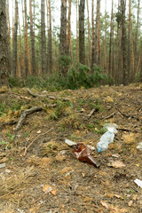 Empty plastic bottle in the form of garbage in the forest thrown by man. The concept of environmental pollution by human life products.