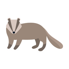 cartoon raccoon icon, flat design