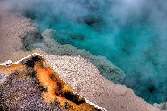 BLACK POOL