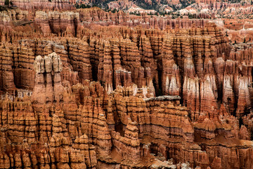 Bryce Canyon Hoodoos