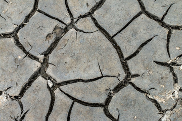 Fototapeta premium Dry mud background texture. Global Drought Warming