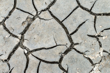 Obraz premium Dry mud background texture. Global Drought Warming