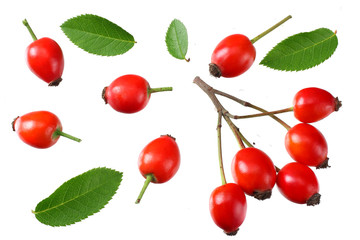 rosehip berries with green leaves isolated on white background. Top view