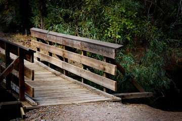 Bridge in park