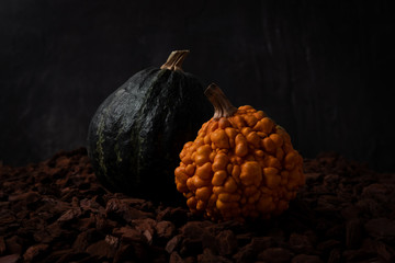 Dark artistic photo of beautiful decorative pumpkins on wooden ground with black background. Green...
