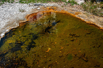 Geothermal feature at west thumb at Yellowstone National Park (USA)