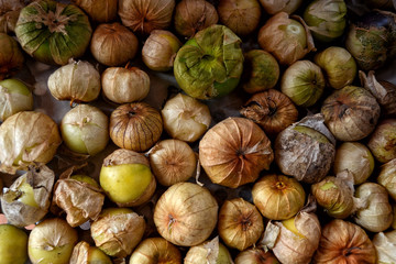 Physalis philadelphica. Top view.	