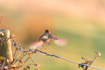 Takeoff