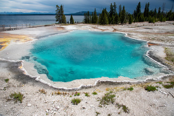 Geothermal feature at west thumb at Yellowstone National Park (USA) - 295165353