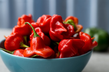 Red hot peppers in a bowl