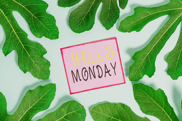 Writing note showing Hello Monday. Business concept for greetings or welcoming the first day of the work week