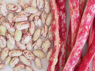 crimson beans legumes vegetables food