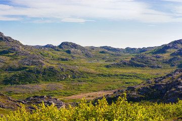 Landscape in the tundra. Green valley among the rocks in the Northern climate. Gentle blue sky haze descends on the green landscape. Here and there there is a rocky rock