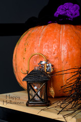 Decor on the theme of Halloween in a photo studio. Holiday,