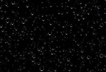 Fototapeta premium Water droplets on the glass