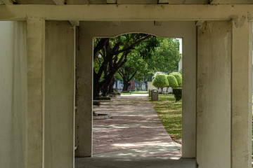 the hall and the trees