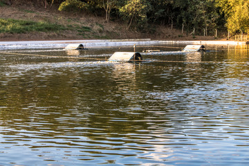 Tank for sewage treatment of the Department of Water and Sewage of the city  in Sao Paulo State