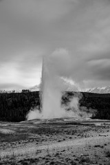 Iconic geyser in Yellowstone, the old Faitful