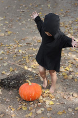 child in halloween sorcerer or witch suit is surprised to find fresh orange pumpkin, he spreads his...