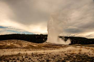 Fototapeta premium Iconic geyser in Yellowstone, the old Faitful