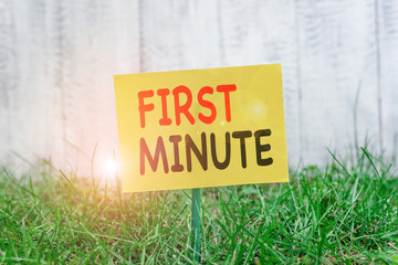 Obraz premium Writing note showing First Minute. Business concept for promotional offers last within a very short amount of time Plain paper attached to stick and placed in the grassy land