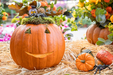 Decorated Halloween pumpkin on the table in the greek garden shop - Halloween celebration preparation.