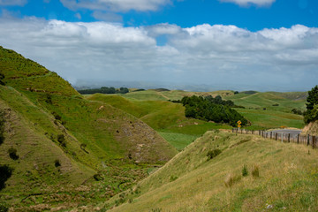 Country road winding its way through rural remote countryside in New Zealand