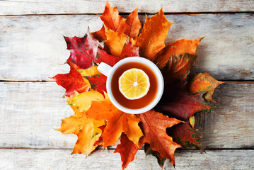 Autumn wood background with orange maple leaves