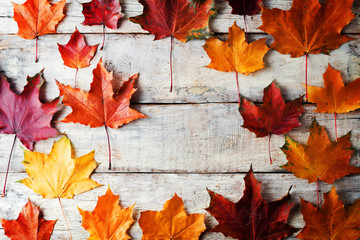 Autumn wood background with orange maple leaves