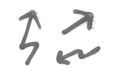 Graffiti lighting signs sprayed on white isolated background