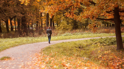 Obraz premium A man walks along a path in an autumn park. Beautiful landscape with colorful foliage.