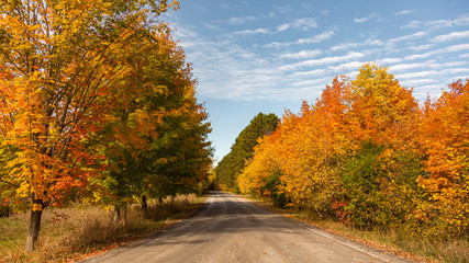 road in autumn