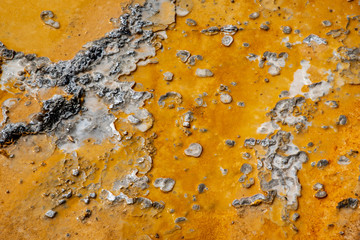 Geothermal feature at old faithful area at Yellowstone National Park (USA)