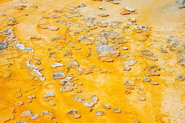Geothermal feature at old faithful area at Yellowstone National Park (USA)