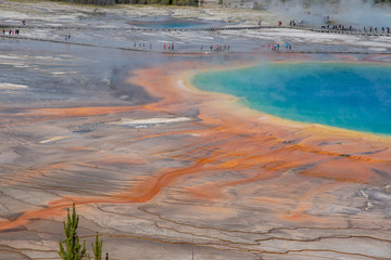 Grand Prismatic Spring in Yellowstone National Park (USA)