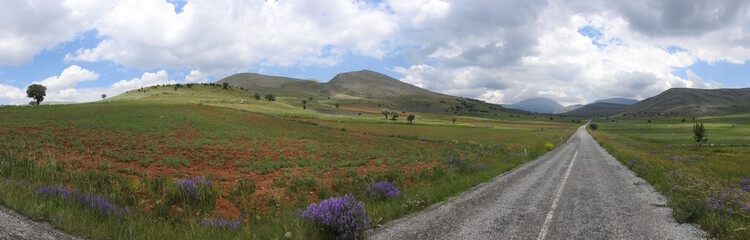 road in the field