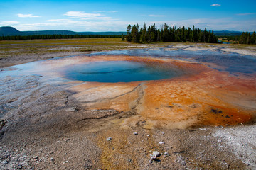 Opal pool in Yellowstone national park