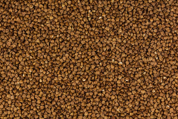 Buckwheat. Buckwheat drawing. Buckwheat background