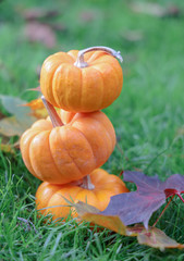 Autumn Pumpkin Thanksgiving Halloween Background. Festive, season. Orange, white, green Fall colors.
