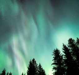 Aurora Borealis light show in Southeast Alaska