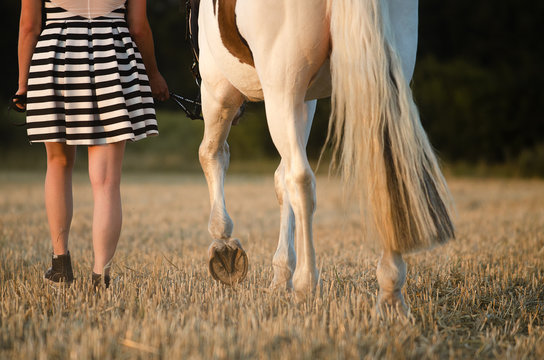 Detail Beine Fraun und Pferd auf dem Stoppelfeld