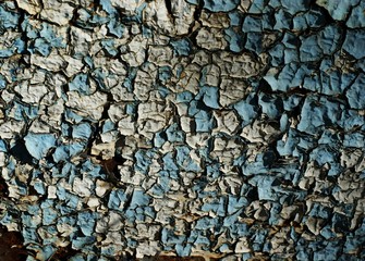 Obraz premium A Grunge Background with Old Peeling Paint