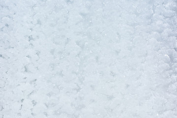 Empty light background for sites and layouts. Close-up photo with ice texture. Tinted photo.